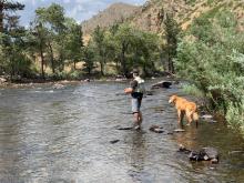 Profile picture for user mtholl