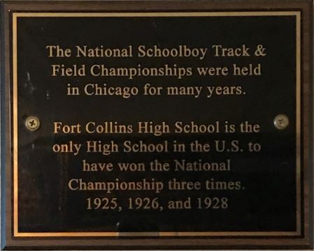 Plaque