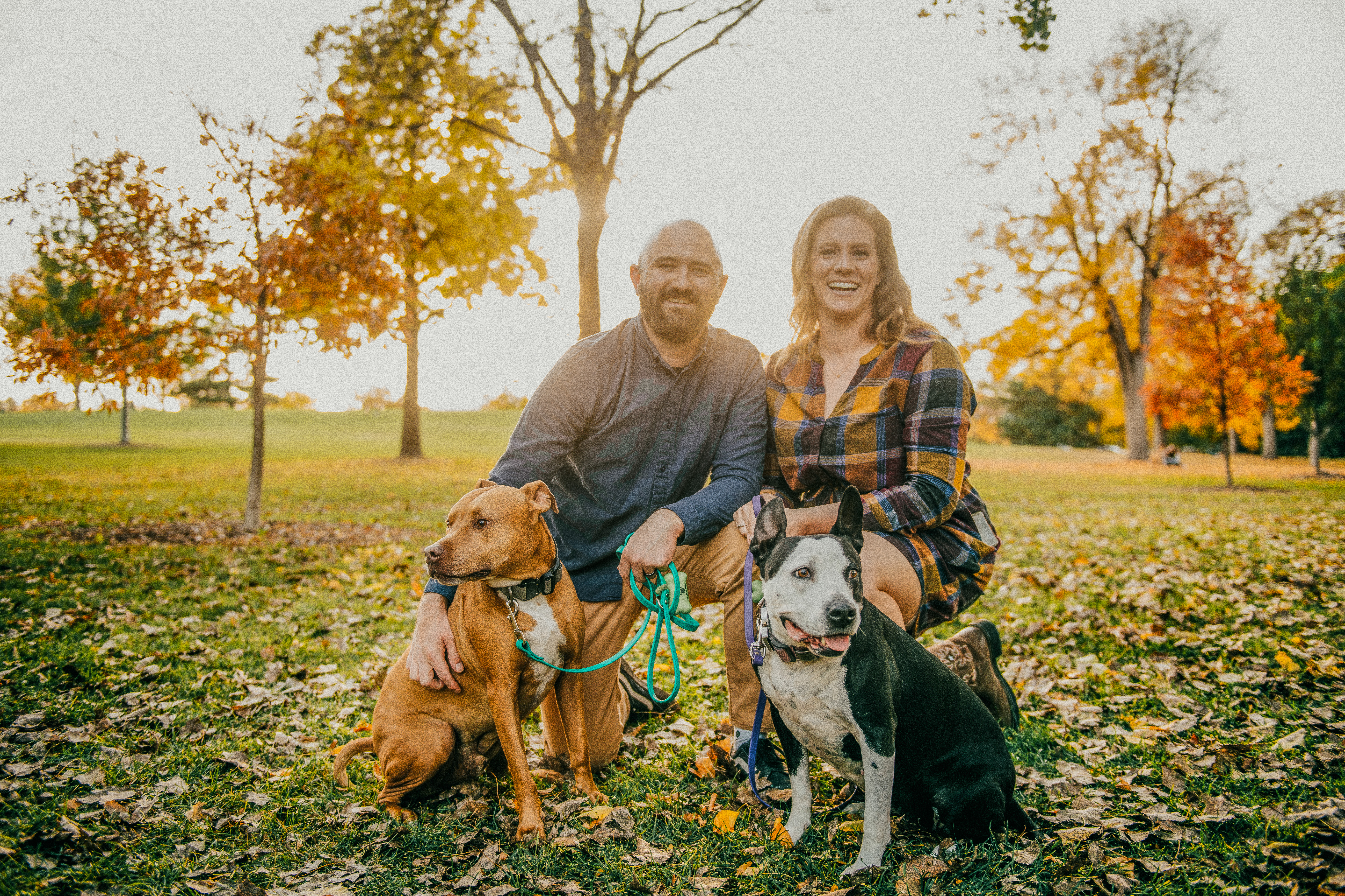 A man and a woman kneel/crouch in a field with their two pit bull-type dogs.  Fall leaves are on the ground and the sun is setting in the background.